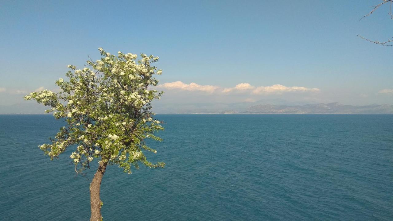 Linamare Eolos Kivérion Dış mekan fotoğraf