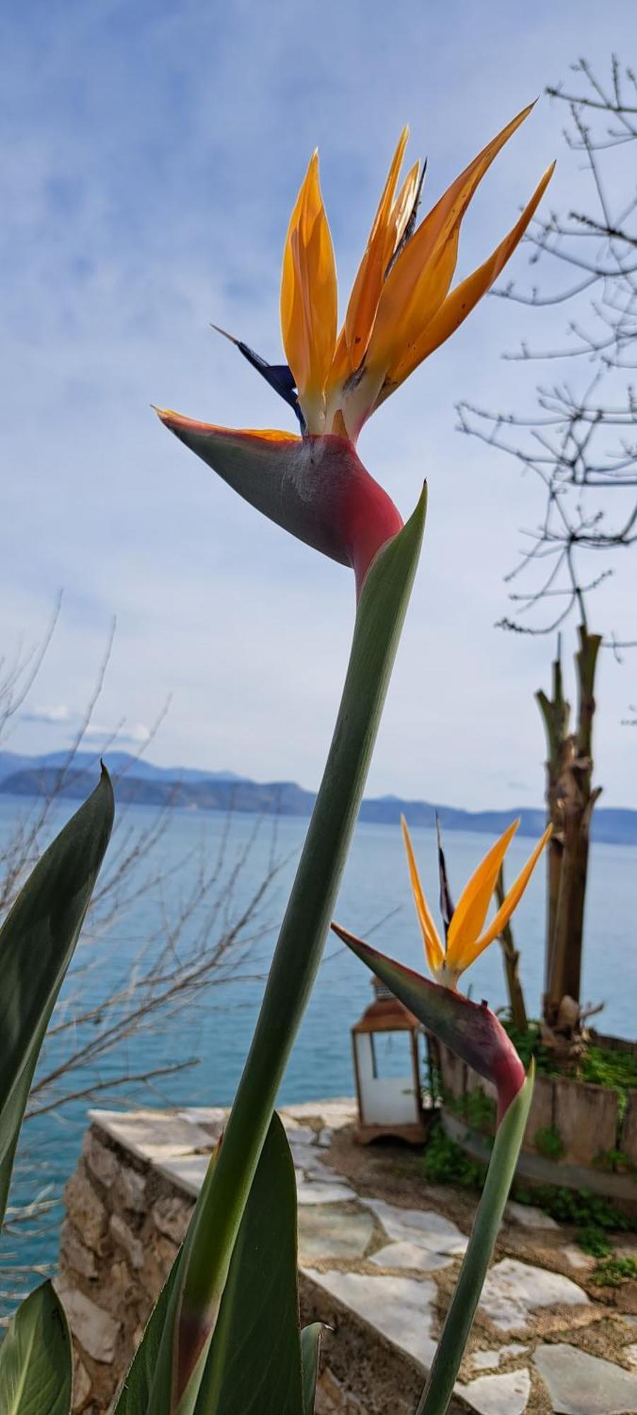 Linamare Eolos Kivérion Dış mekan fotoğraf