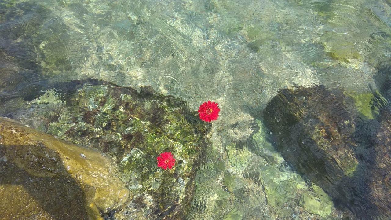 Linamare Eolos Kivérion Dış mekan fotoğraf